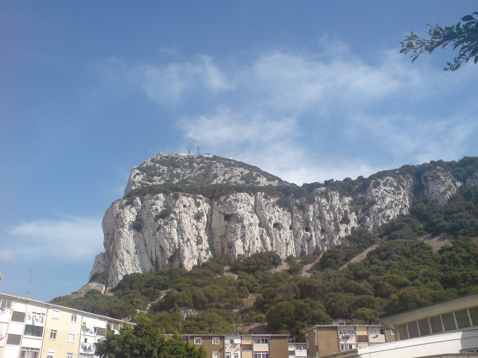 The Rock