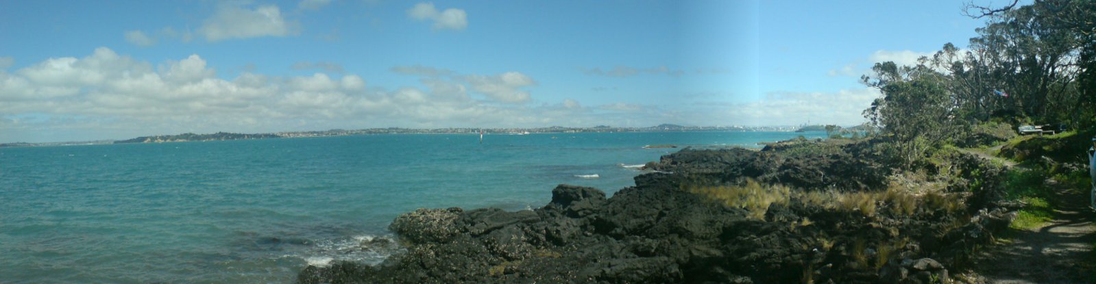 Rangitoto coastline