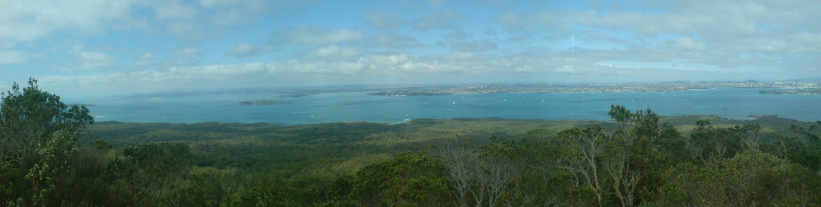 From the summit of Rangitoto
